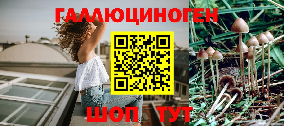 Галлюциногенные грибы мицелий  что такое наркотик  Унеча  Вход с VPN 